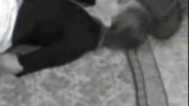 わかった子供がいる今夜だけだ 女性 に 優しい 無料 エロ 動画