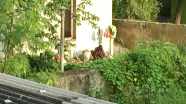 彼女の新婚旅行の柄のシャワ h 動画 無料 女性