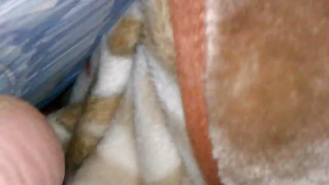 私の娘はちょうど人生のように非常に自然です 女性 向け 動画 セックス